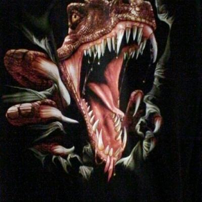 Tee shirt rock