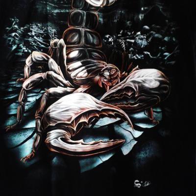 TEE-SHIRT ROCK